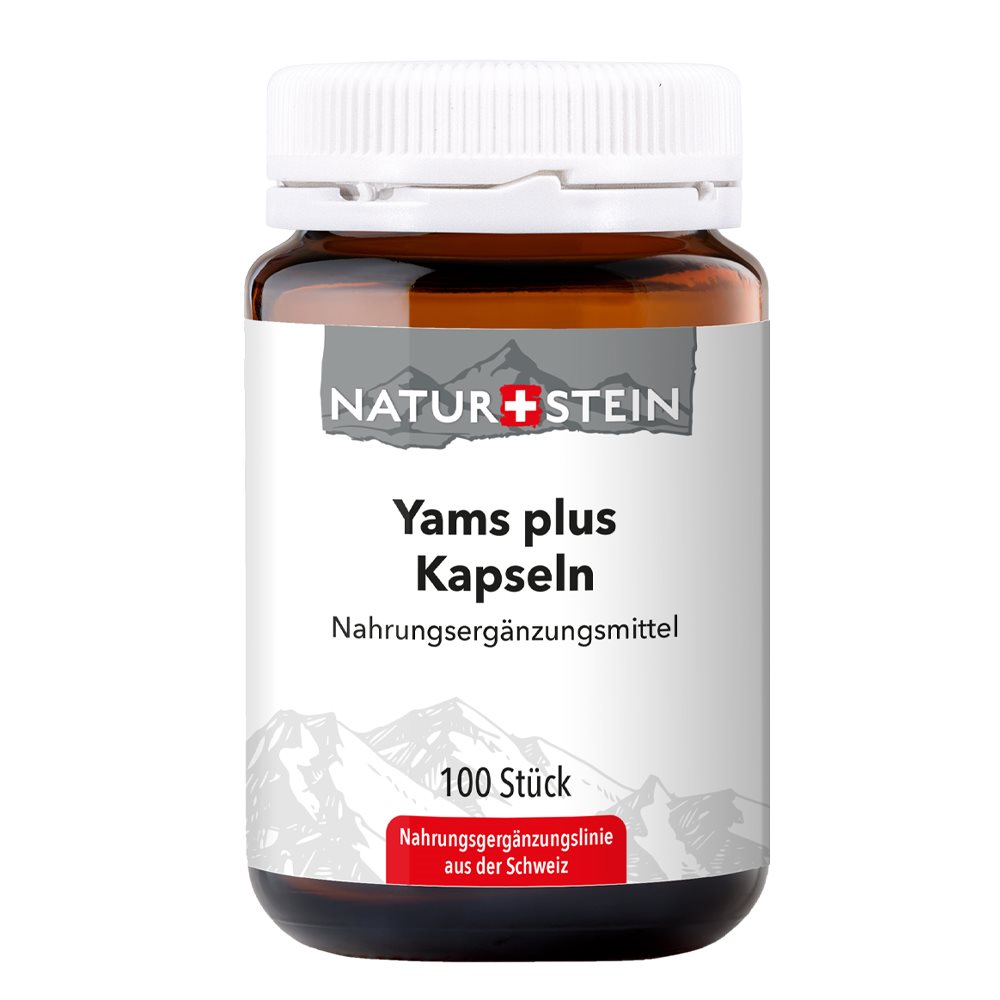 NATURSTEIN Yams plus Kaps Glasfl 100 Stk