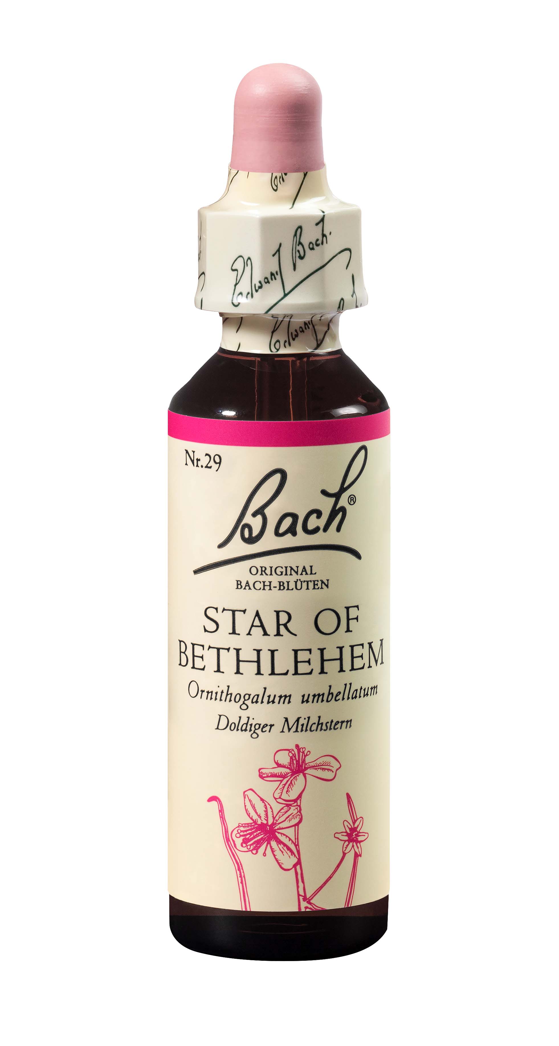 BACH Bachblüten Original Star Bethl Nr29 20 ml