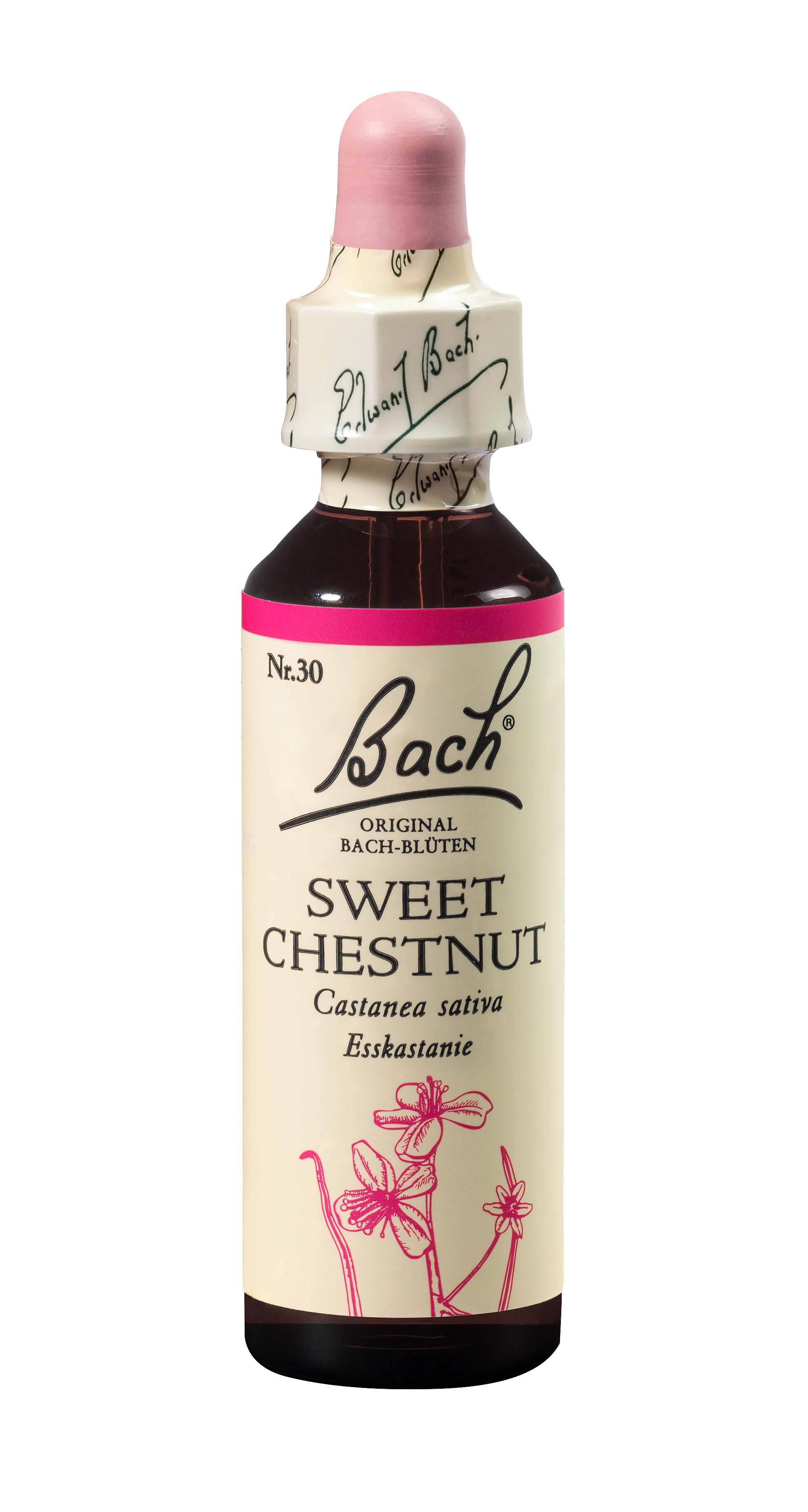 BACH Bachblüten Original Sw Chest Nr30 20 ml