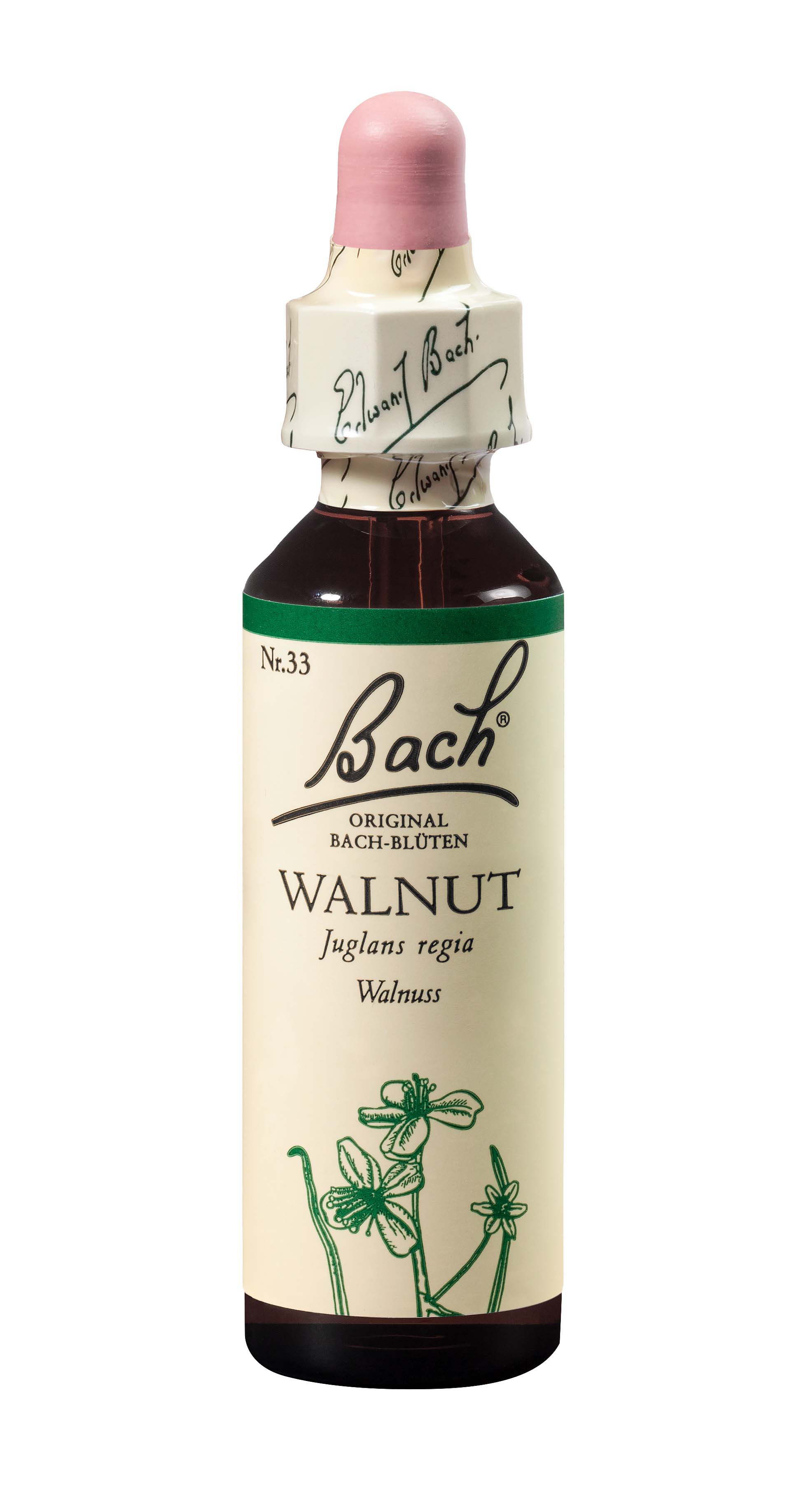 BACH Bachblüten Original Walnut Nr33 20 ml