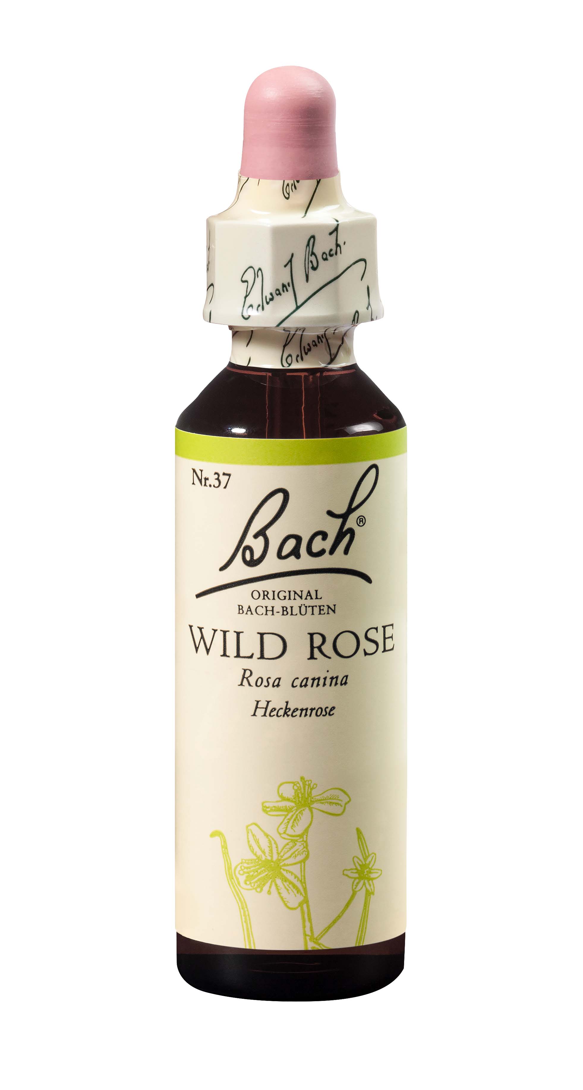 BACH Bachblüten Original Wild Rose Nr37 20 ml