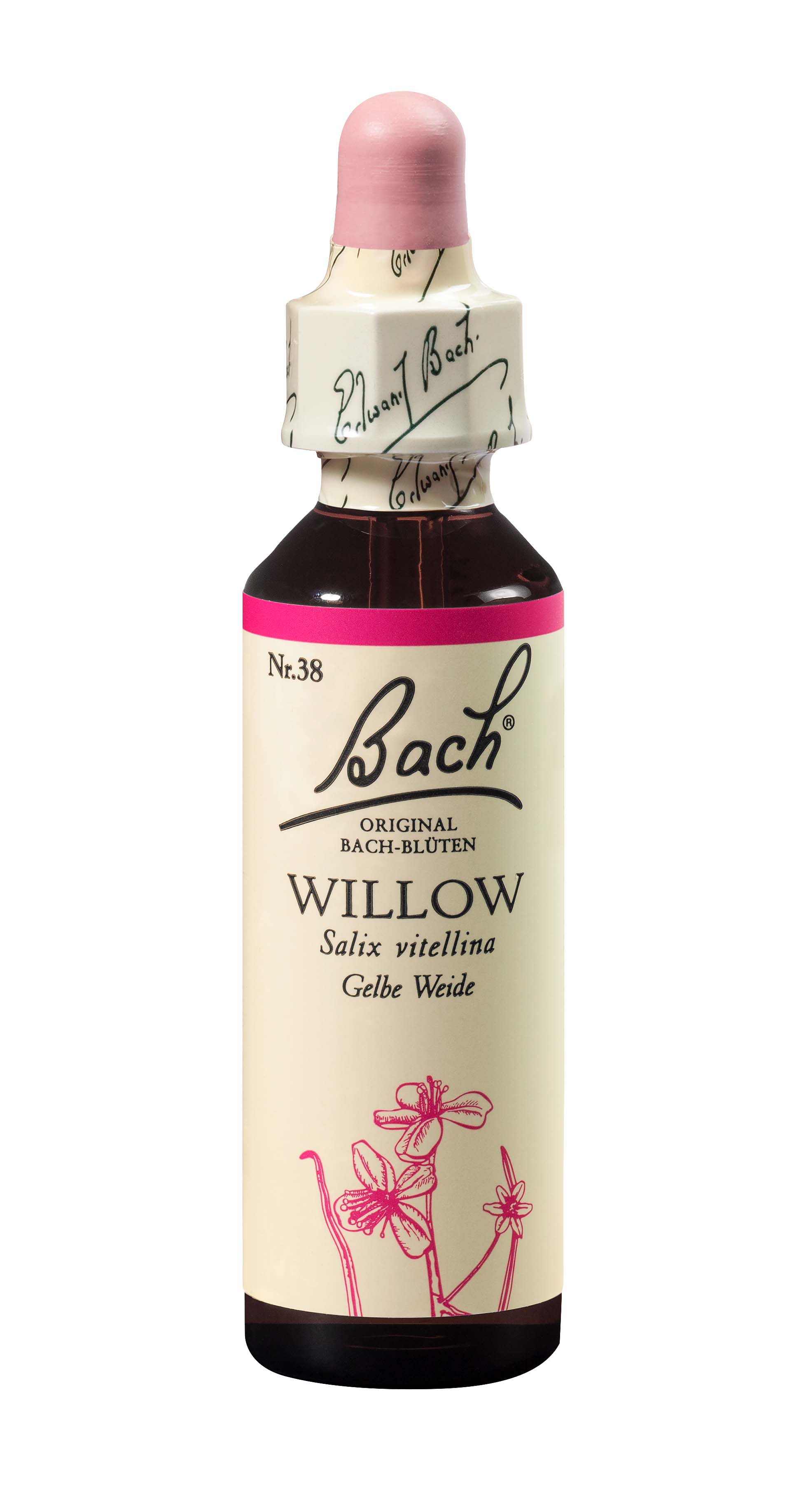 BACH Bachblüten Original Willow Nr38 20 ml