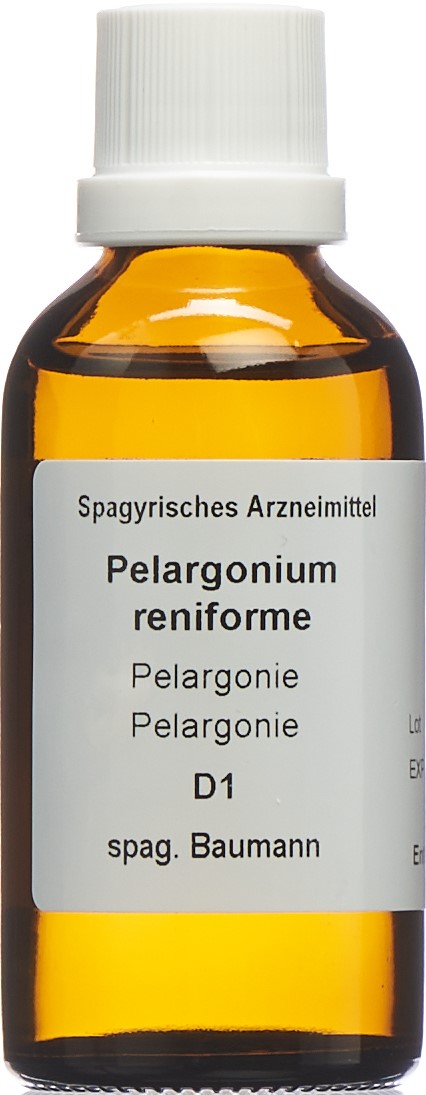 SPAGYROS SPAGYR Pelargonium renif D 1 Fl 50 ml