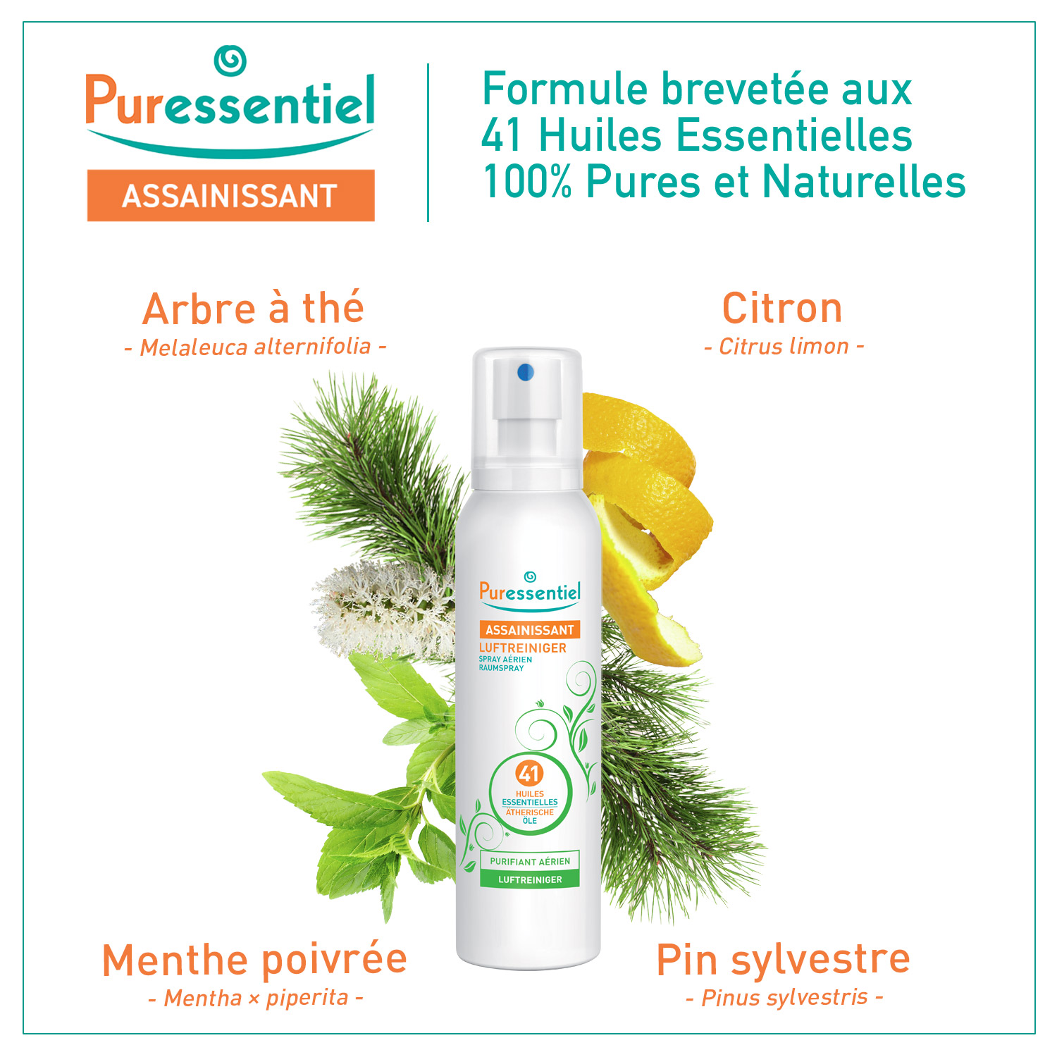 PURESSENTIEL Reinigender Luftspr 41 äth Öle 200 ml