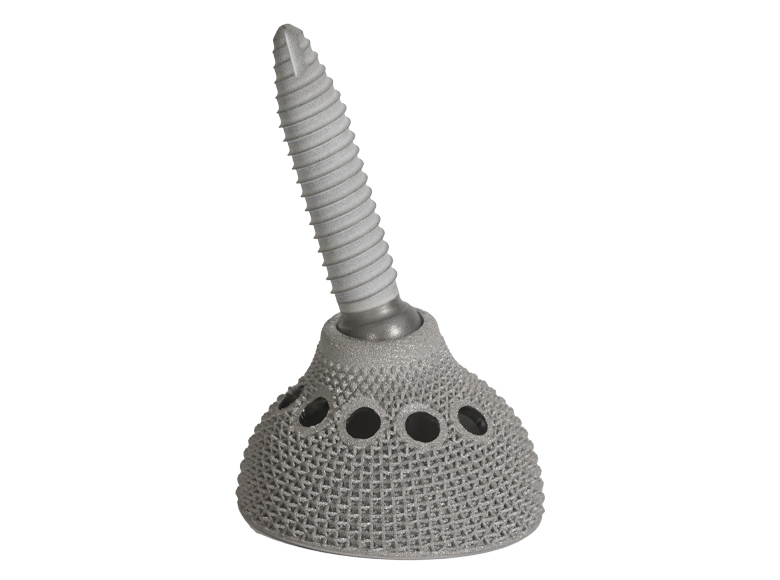 SCREW B02211070 ILIAC 10.5X70MM