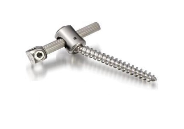 SCREW B02219570 ILIAC 9.5X70MM