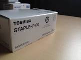STAPLE B11112430 LUMBAR H 24MM L 30MM