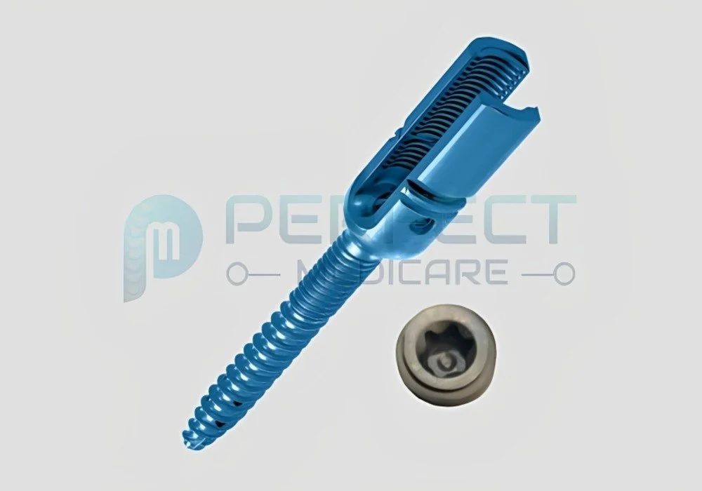 SCREW B02415560S CANNUAL DUAL 5.5X60MM