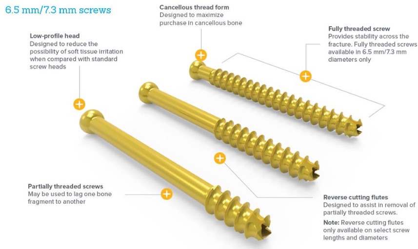 SCREW B02416560S CANNULA DUAL 6.5X60MM