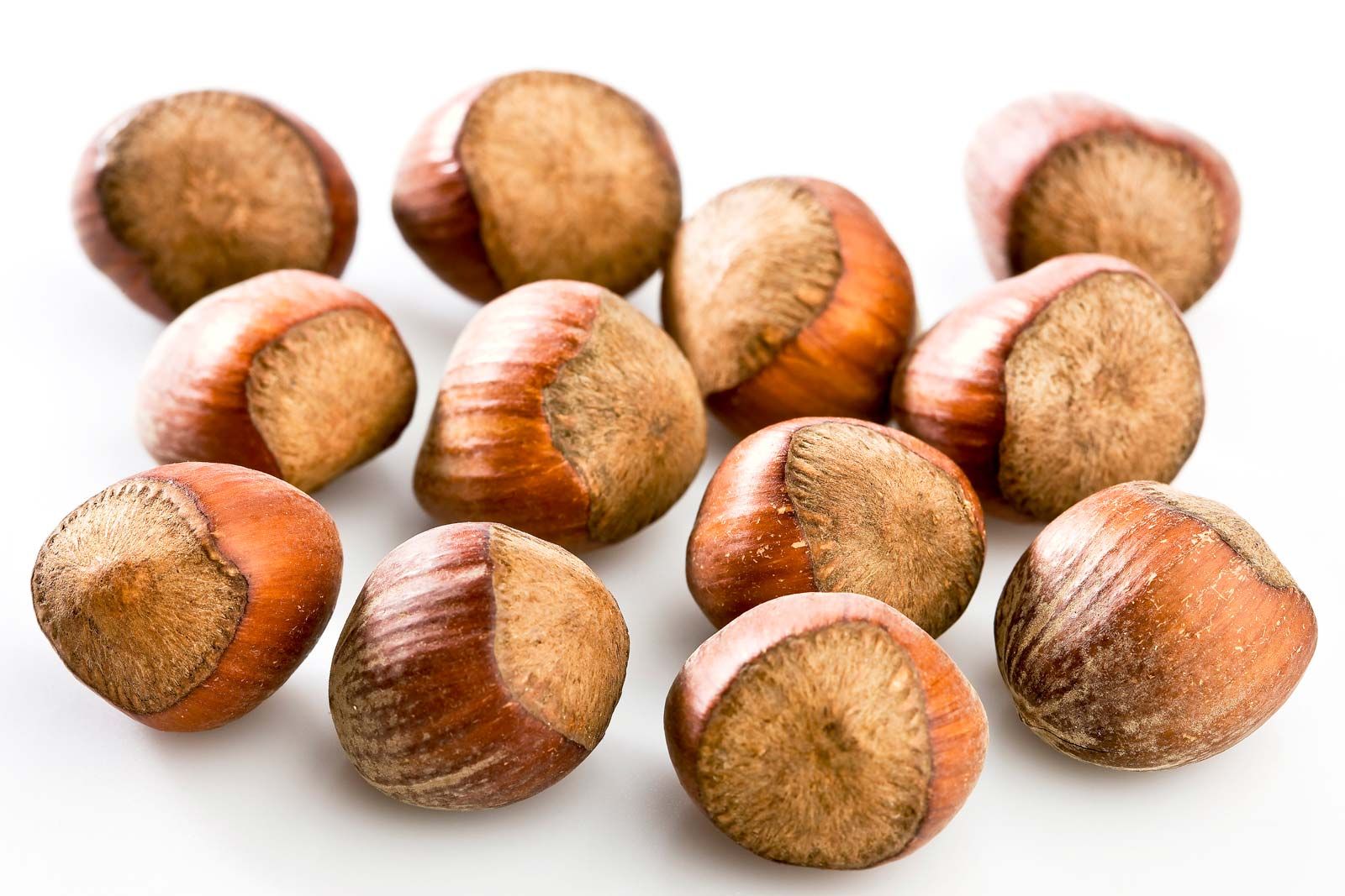 NUT B19130005 BREAKAWAY