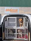 RETRIEVER A24000210 IB3D CAGE RETRIEVER