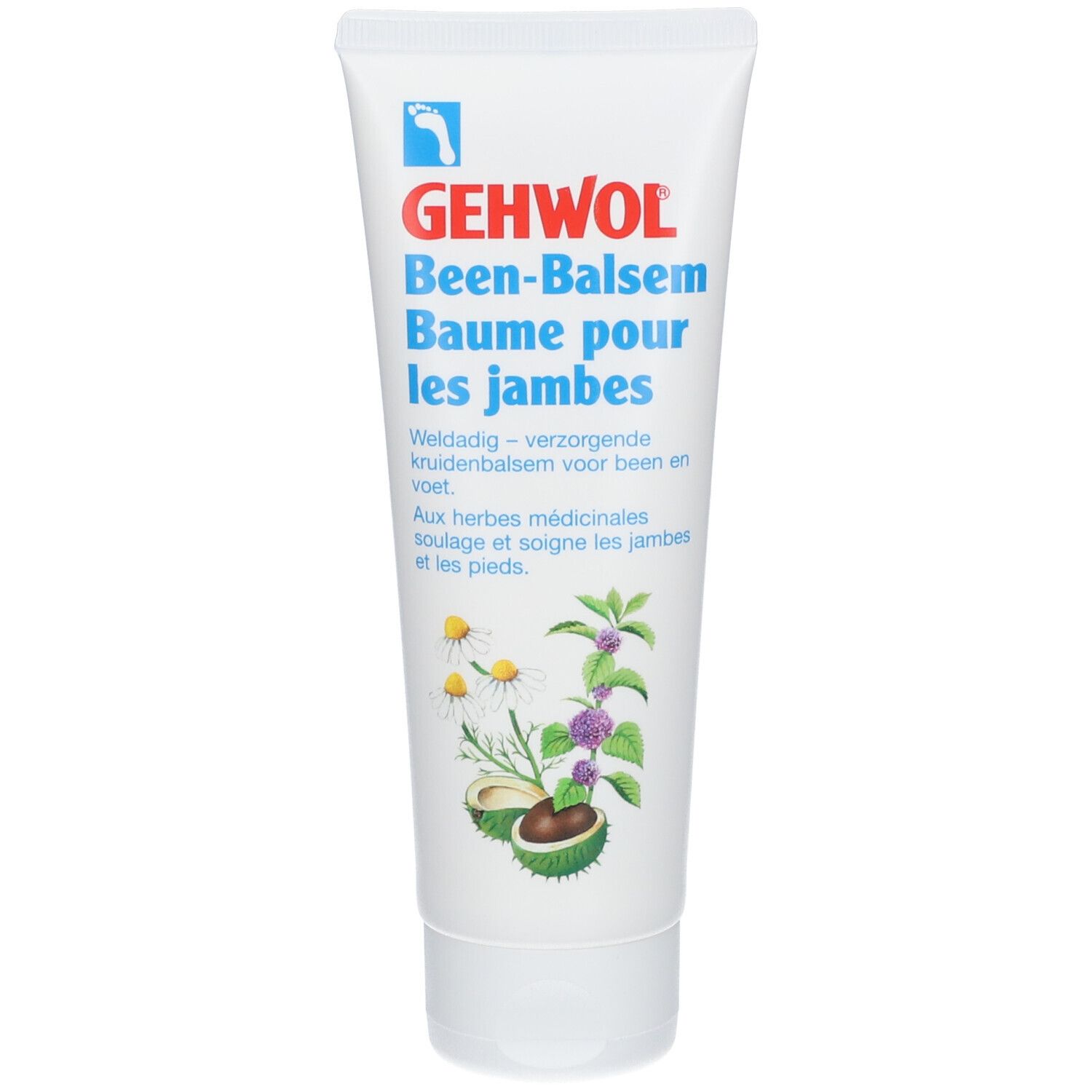 GEHWOL Bein-Balsam E/F Tb 125 ml