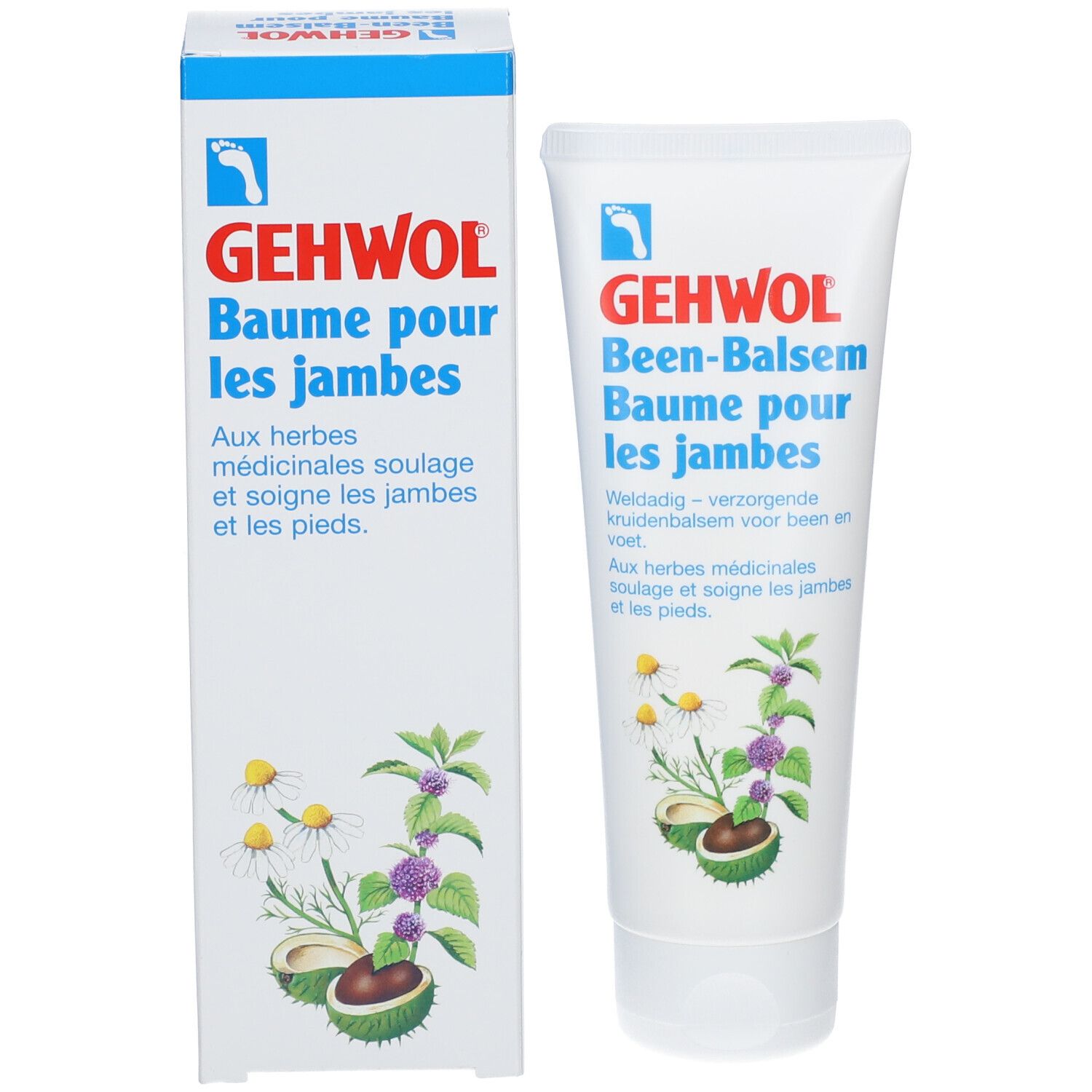 GEHWOL Bein-Balsam E/F Tb 125 ml