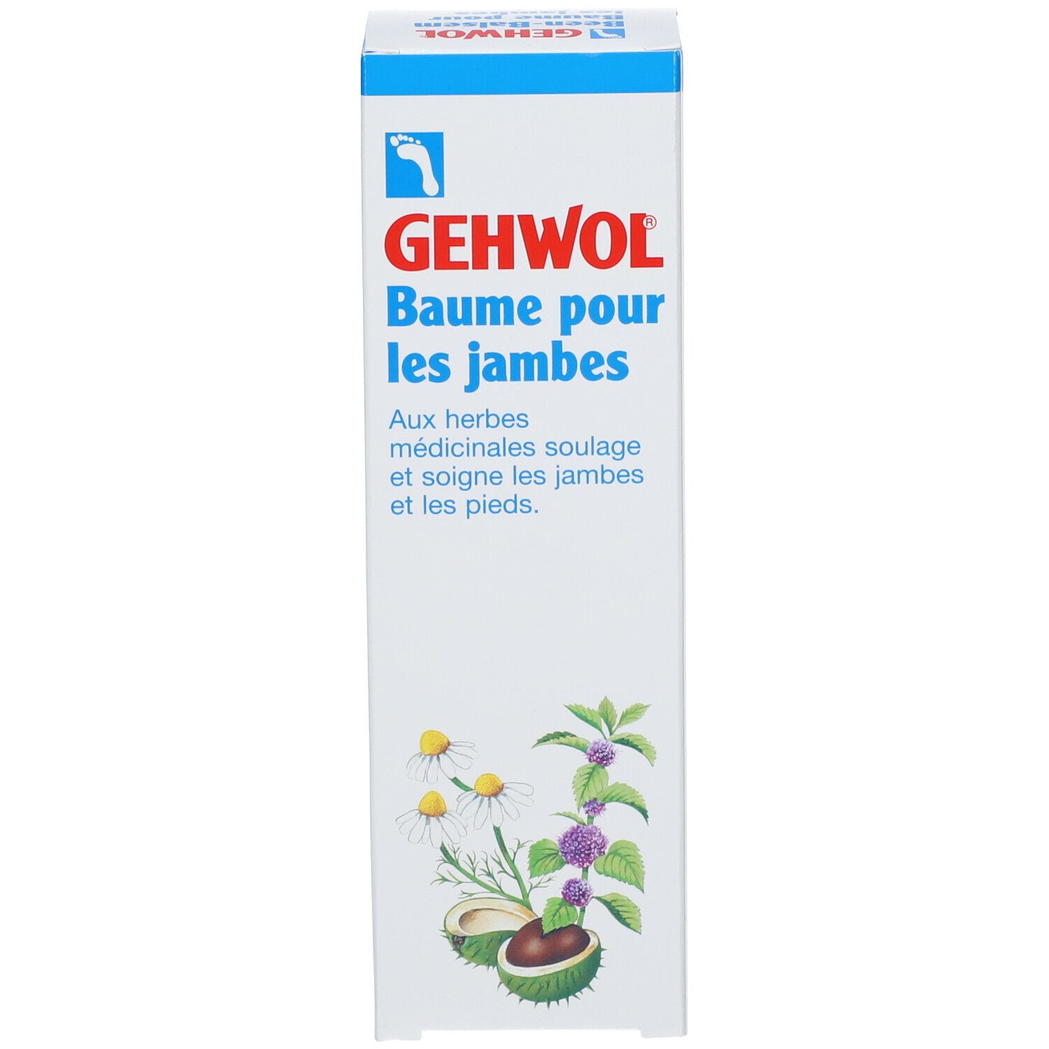 GEHWOL Bein-Balsam E/F Tb 125 ml