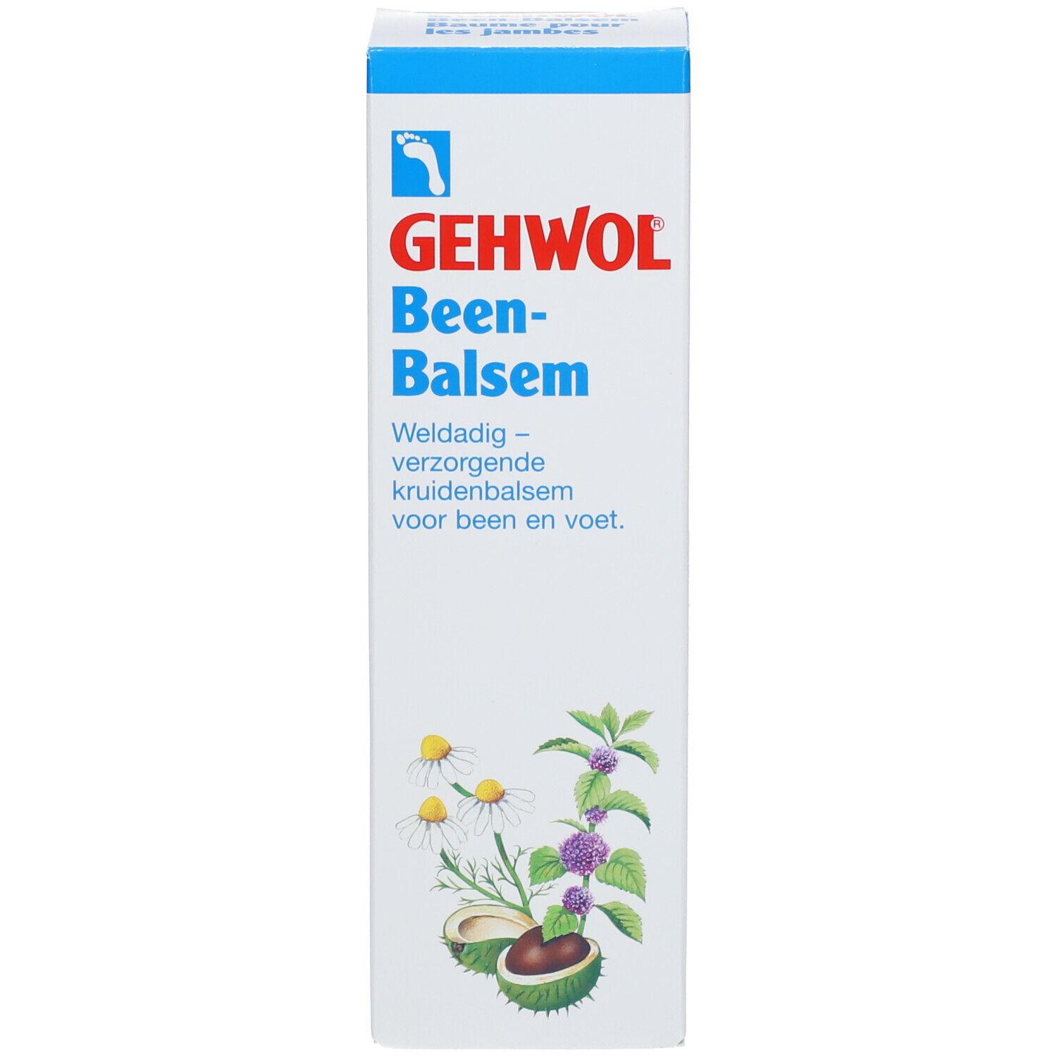 GEHWOL Bein-Balsam E/F Tb 125 ml