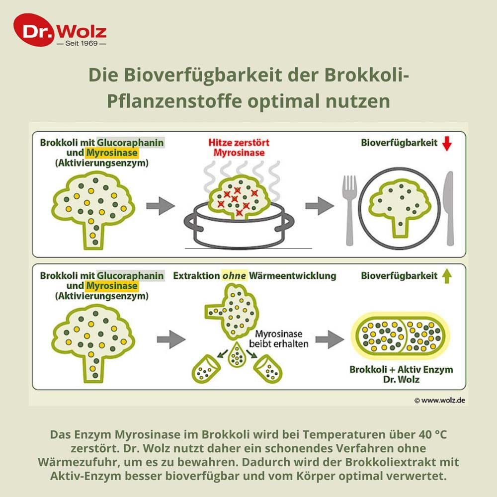 DR. WOLZ Brokkoliextrakt+Aktiv-Enzym Kaps 60 Stk