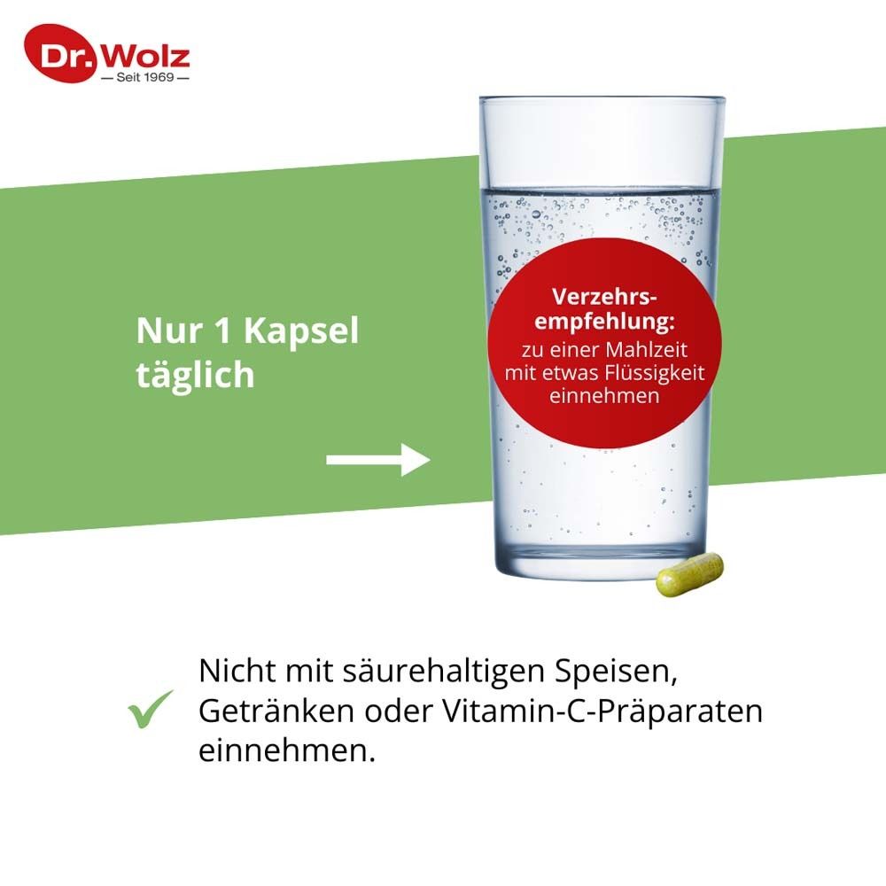DR. WOLZ Brokkoliextrakt+Aktiv-Enzym Kaps 60 Stk