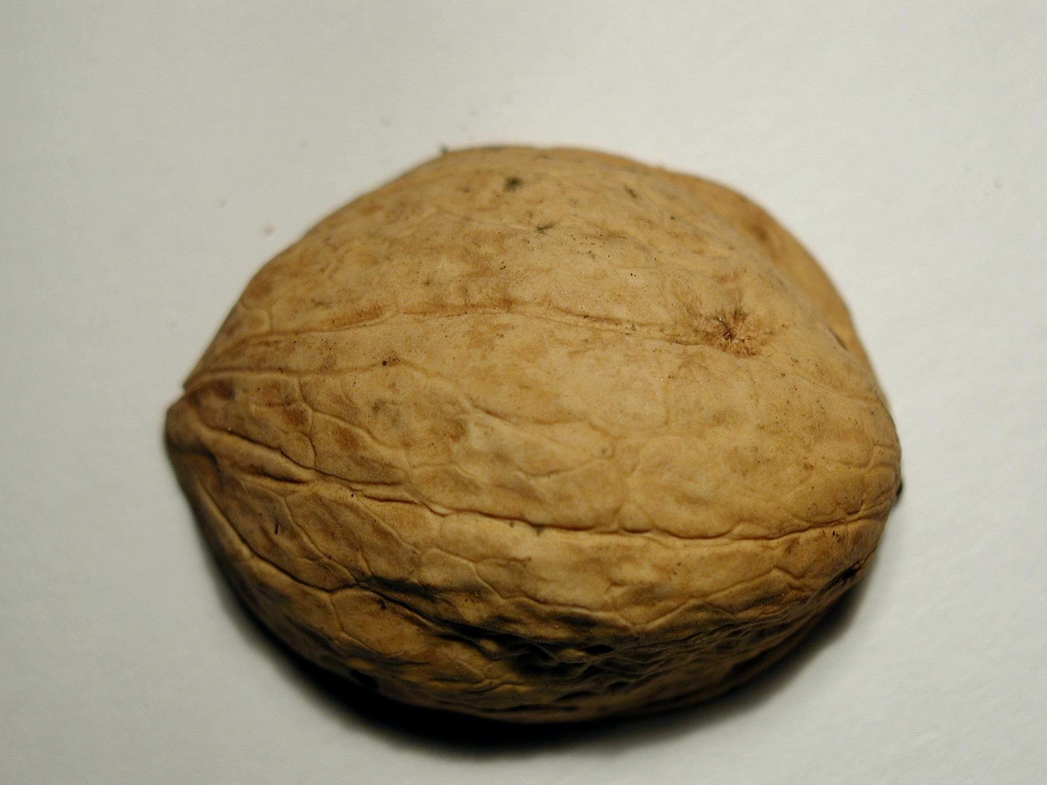 Nut Key
