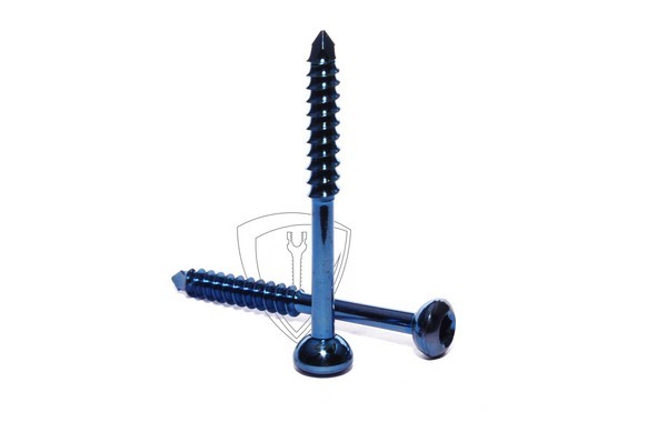Malleolar Screw