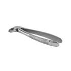 Extraction Forceps