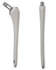 Hip Prosthesis Stem