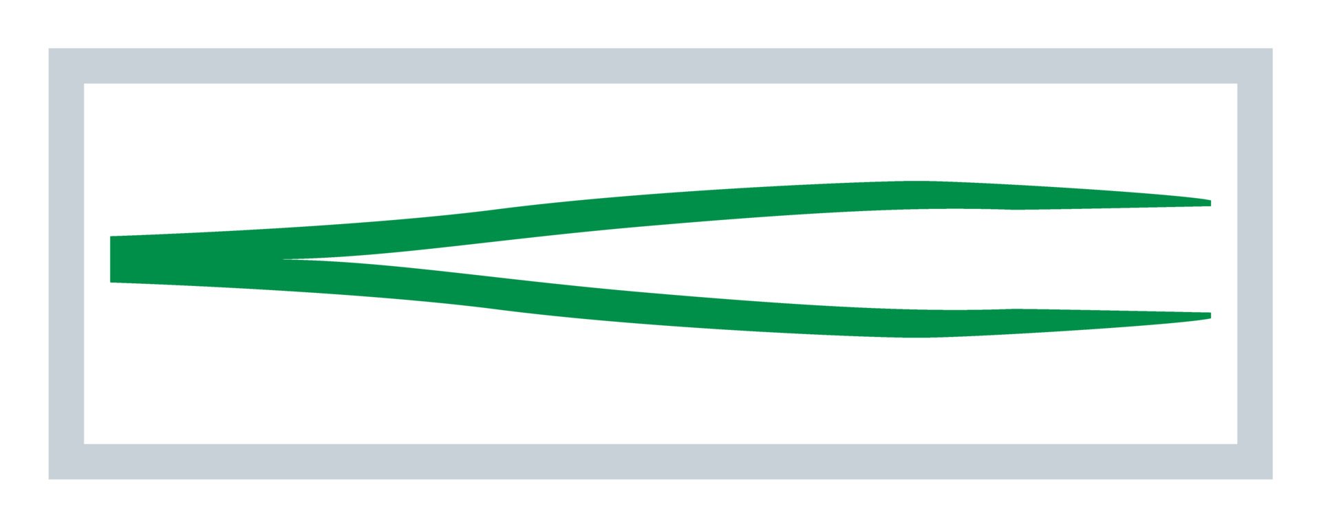 MEDISET pince anatomique 12.5cm vert 20 pce