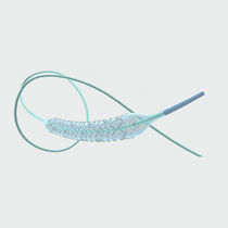 ARCH FAST DEG STENT 10FR12.5CM BPS34125F