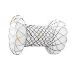 ARCH SLOW DEG STENT 10FR12.5CM BPS34125S