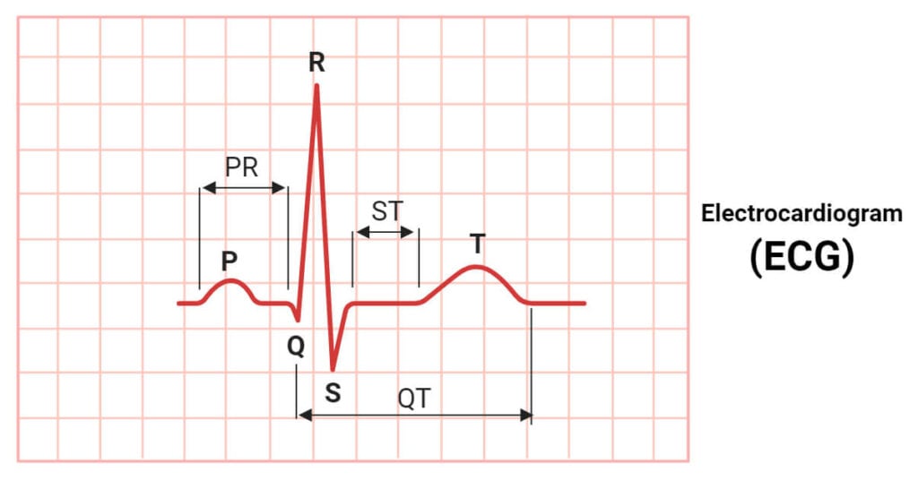 ECG CABLE 39D-83X CE MARK
