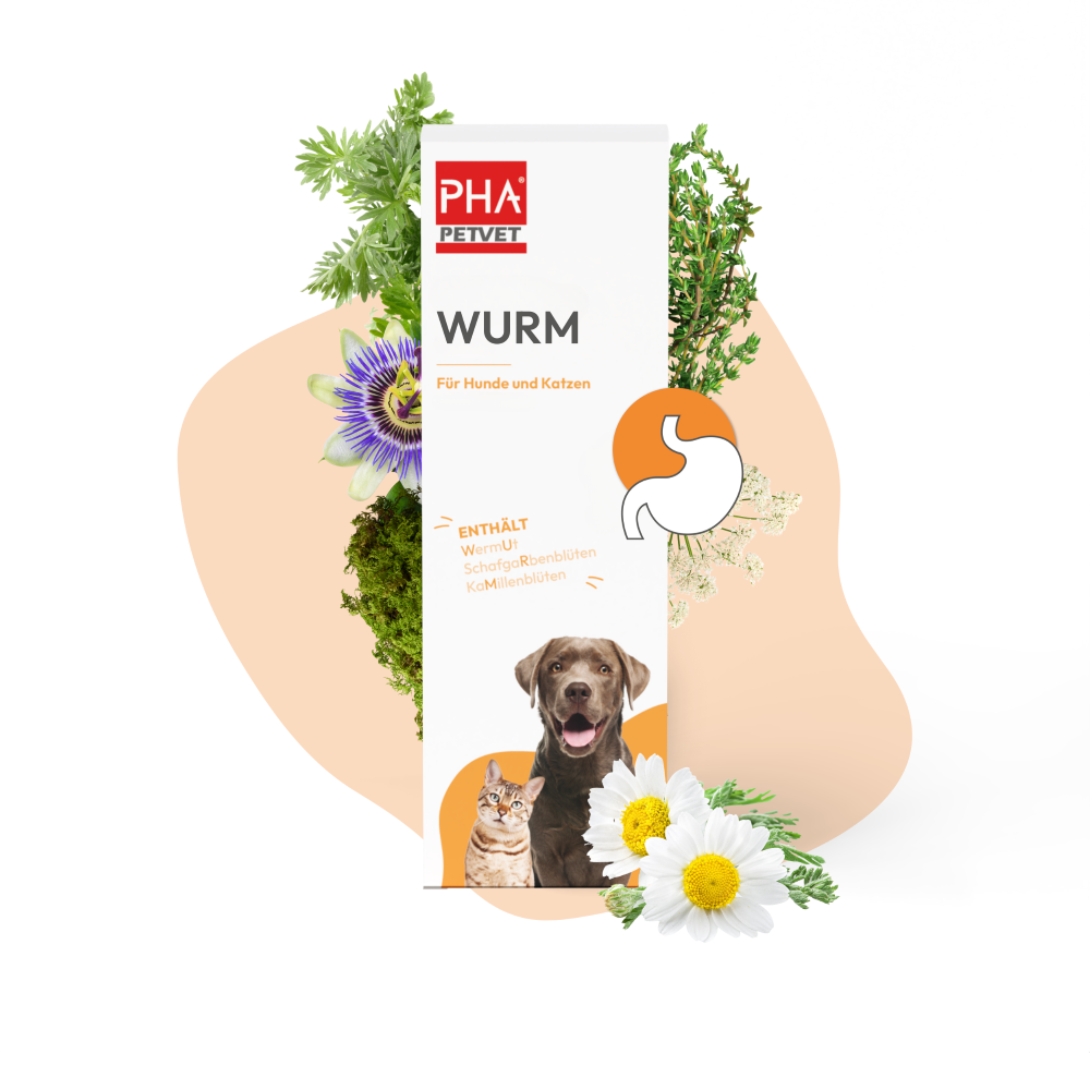 PHA Wurm Tropfen Fl 50 ml