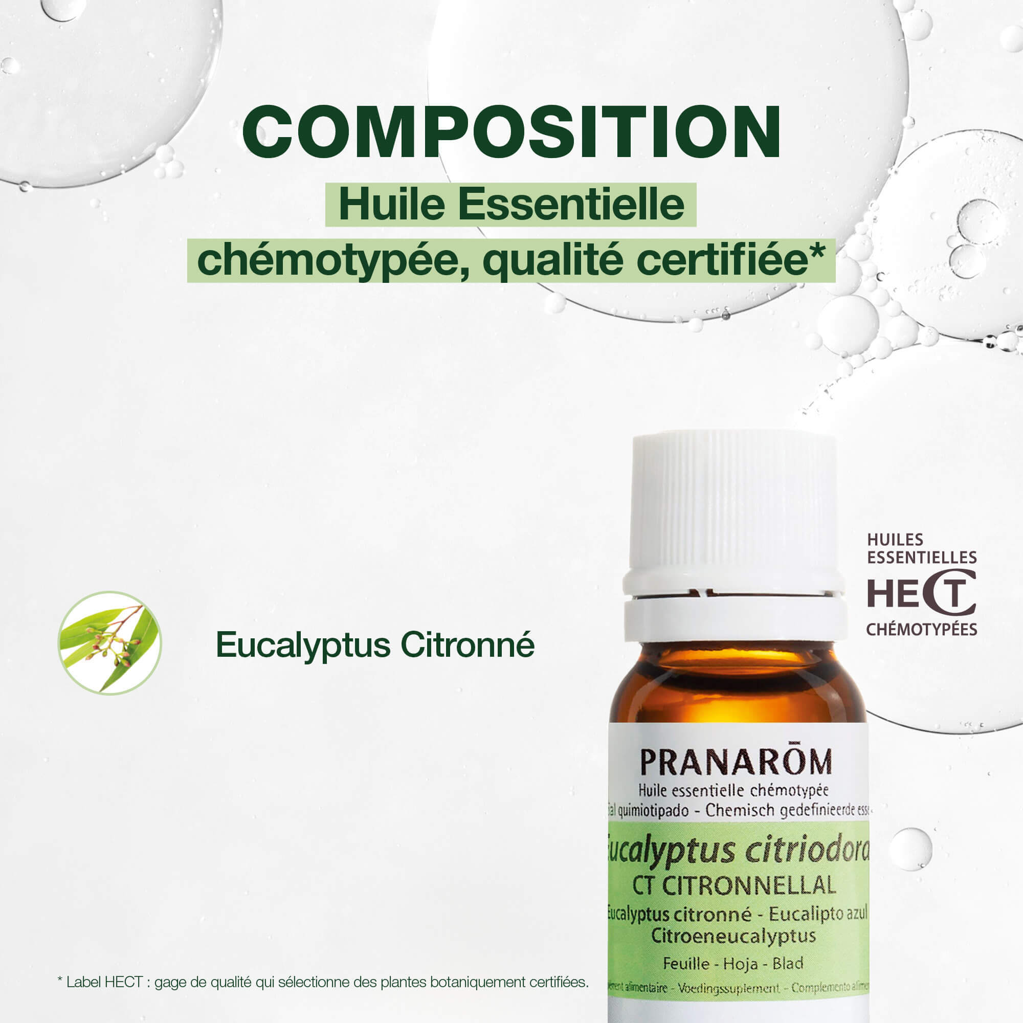 PRANAROM Zitronen Eukalyptus Äth/Öl Bio 10 ml