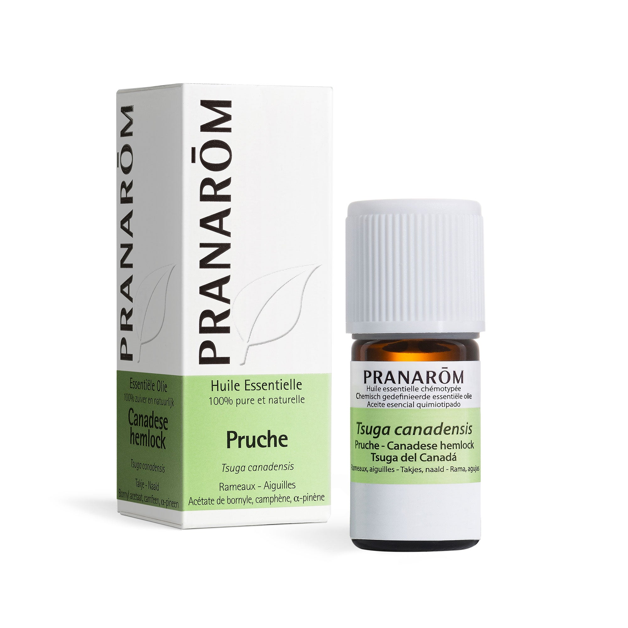 PRANAROM Huile Essentielle de Pruche 5 ml