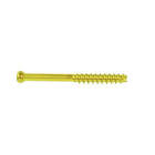 SCREW 6959442 4.0 X 42MM CANNULATED MAS