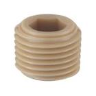 CAPSTONE 2966055INT PEEK 10X55 - 6 DEG