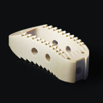 CAGE 6211805 PEEK ANATOMIC 18X16X5