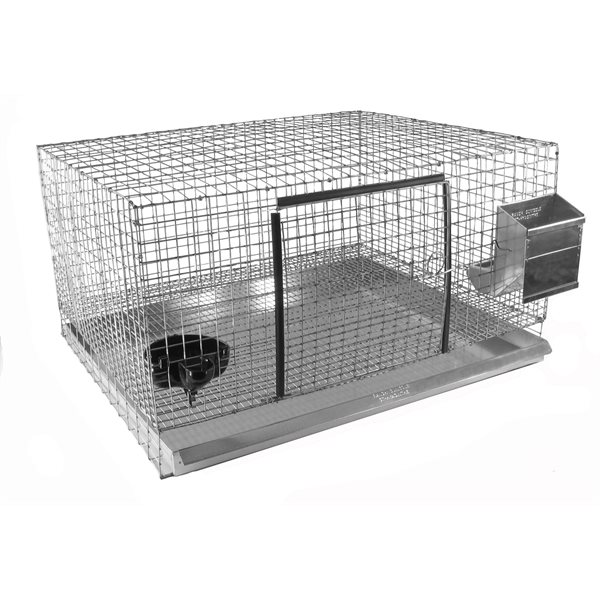 CAGE 2661424 WAVE D 14MM X 24MM 6DEG