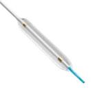 BALLOON, NCSP4021X, NCSPRINTER, RX