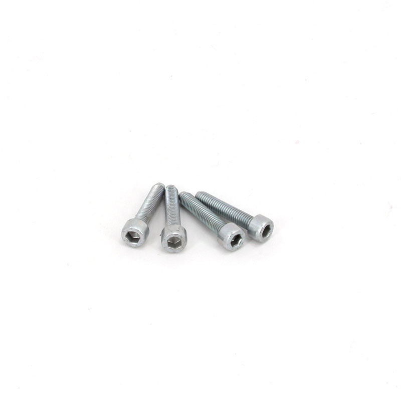 SCREW 55711014525 5.5 CNSAS 4.5 X 25 CC