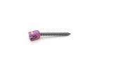 SCREW 55711014530 5.5 CNSAS 4.5 X 30 CC