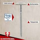 SCREW 55711014545 5.5 CNSAS 4.5 X 45 CC