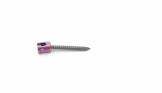 SCREW 55711015545 5.5 CNSAS 5.5 X 45 CC