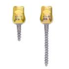 MULTI AXIAL SCREW 3604524 4.5 X 24MM