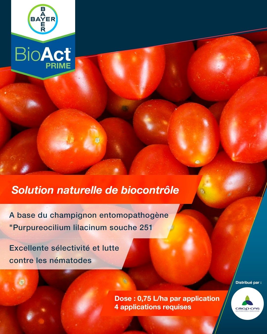 CONN CB4633 INTERSEPT BIOACT 1/2X3/8