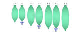BALLOON SEEKER 1830607MAX EM MAXL 6X7MM