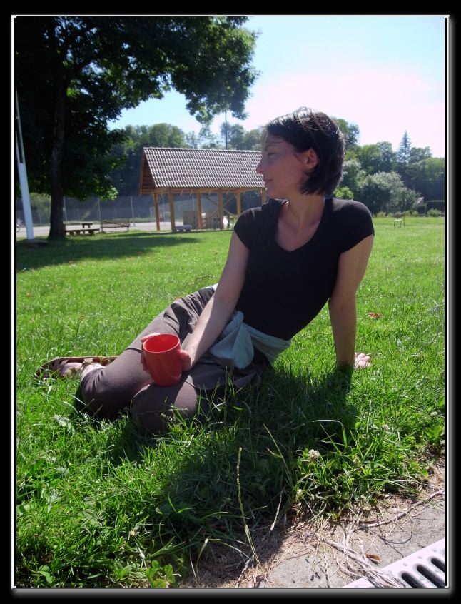 DCB SBI08004008P 08.00 L040 UL0800 OUS