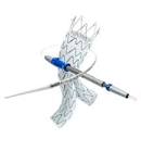 STENT GRAFT ESBF3214C103EE Endur IIs BIF