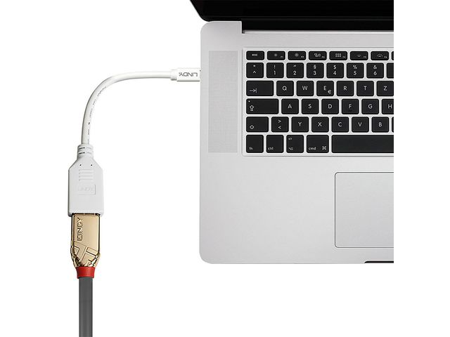 CABLE 9735785 DP TO MINI-DP S8 SVC