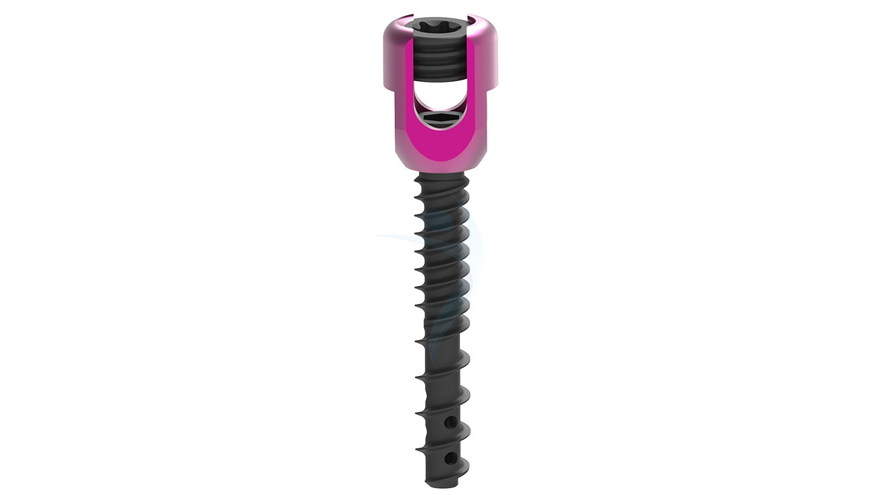 CEMENT 7480724 FENESTRATED SCREW PMMA