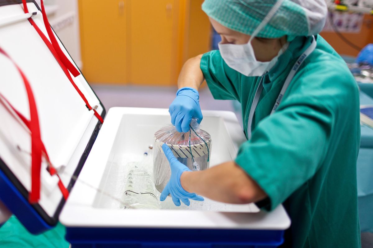 CARDIOBLATE BP2 DEVICE