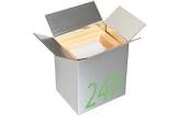 CONTAINER 9735449 SPINE REF REVISION